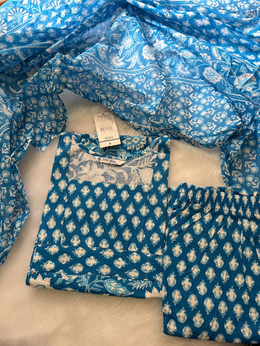 Kalamkari duppata sets